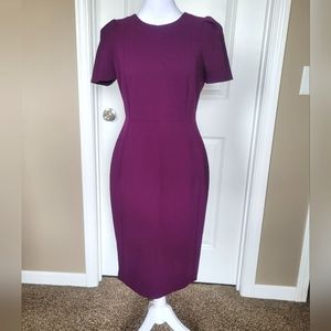 Calvin Klein Berry Sheath Dress Size 4